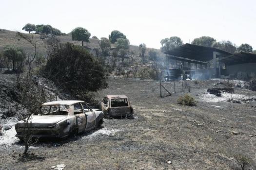 incendie corse